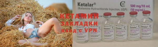 мдпв Вяземский