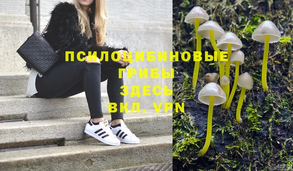 ешки Володарск