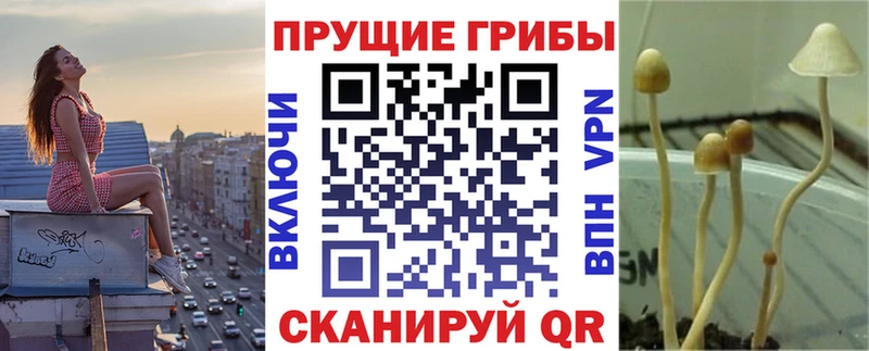 Псилоцибиновые грибы ЛСД  Купить где  Ленск 