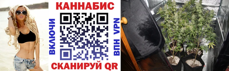 Купить  Ленск  Марихуана семена 